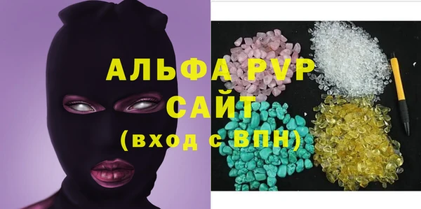 индика Бежецк