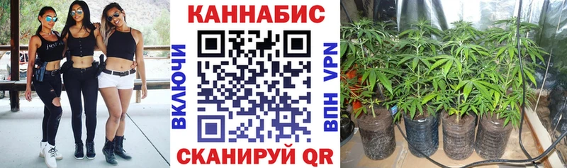 где купить   Десногорск  Бошки марихуана сатива 